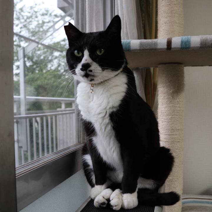 C5434fd6 8f66 4f60 a7cb 50ad00ac415c 1774160859805