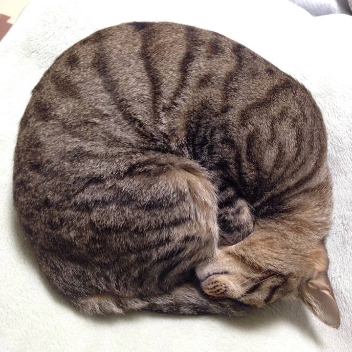 C5435a09 7f72 491c b7ae 6d3f8c778ba4 1510142573840