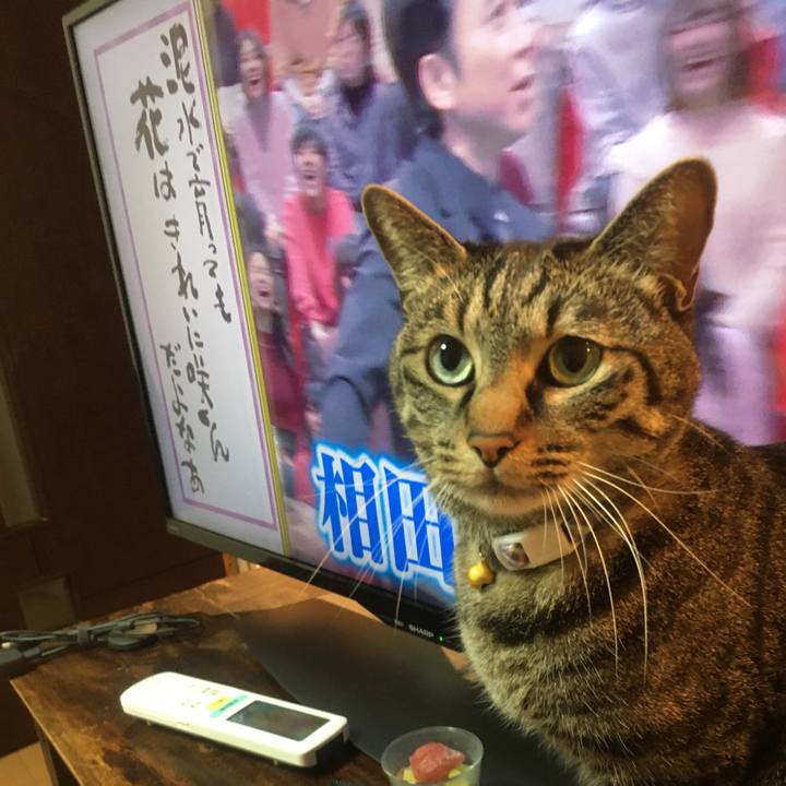 C5437458 fd26 4ed1 8b3f be5f546a1796 1582377852268