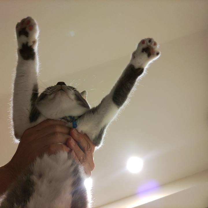 C543840a f1f4 4705 be0d 4fd749be9750 1699105073075