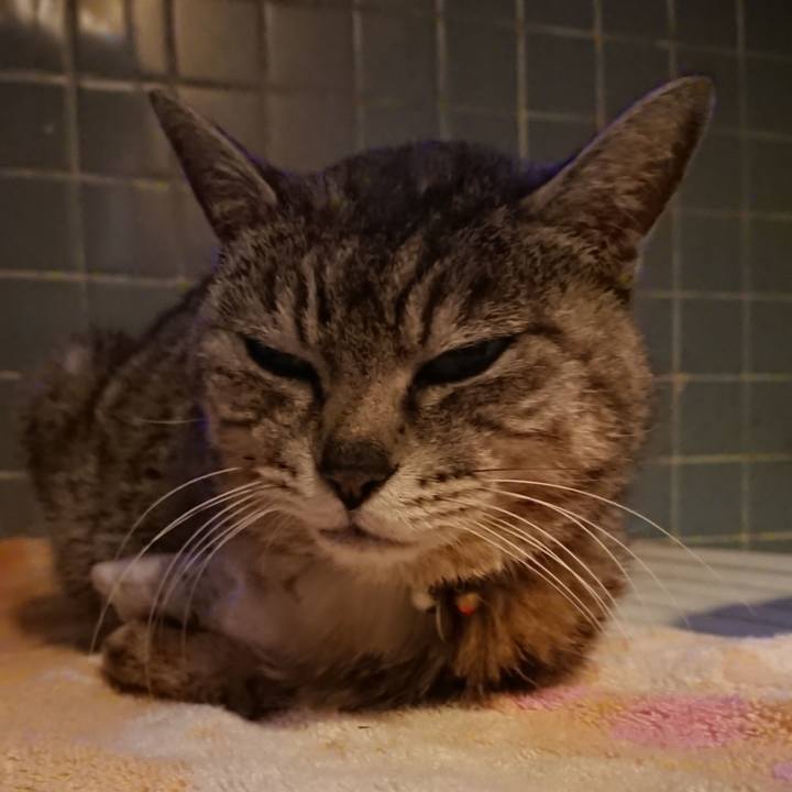 C54385e2 3499 4cf1 8df8 f6fae65fffa5 1590054950421