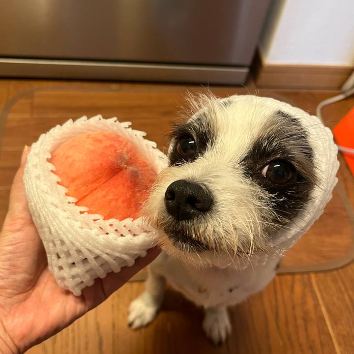 C5439402 7776 4c74 ae51 ae7e1d1e27e6 1659951379677