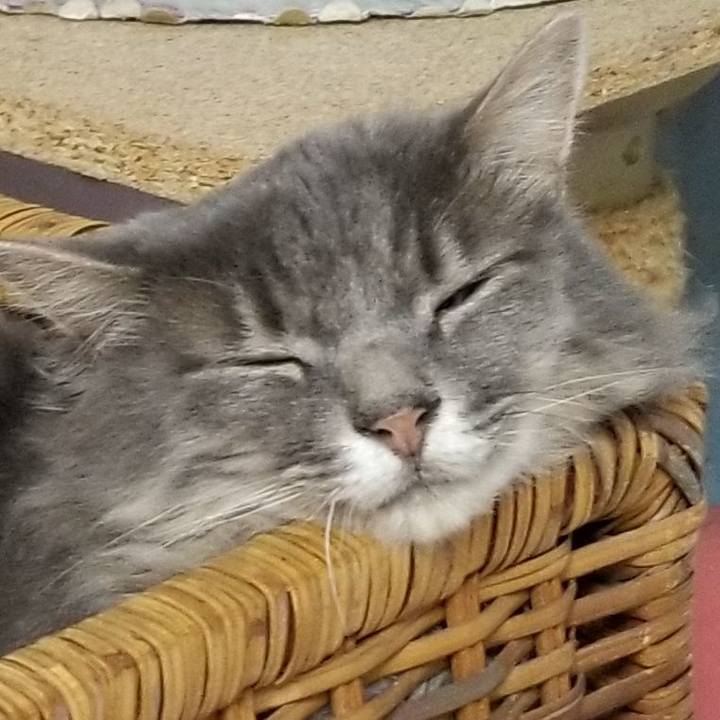 C543ced5 51dd 4655 ac55 584e468eb77f 1598049112891