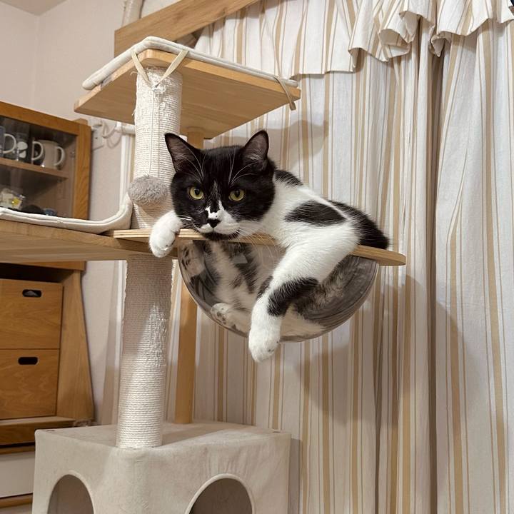 C543d4f7 cedf 49a3 9253 1b321ab011c3 1760020040598