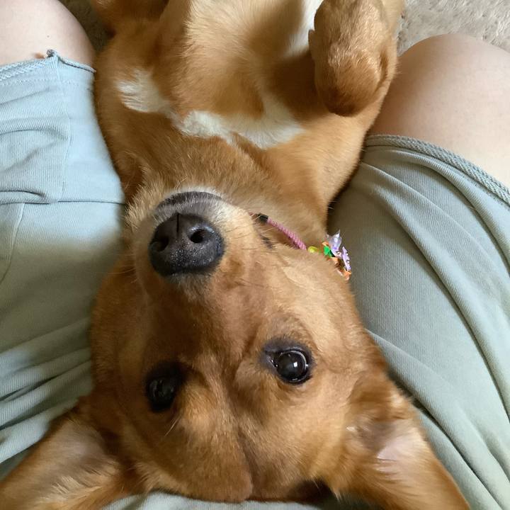 C5444623 08c1 4405 9635 21a1300ed55b 1623325965224