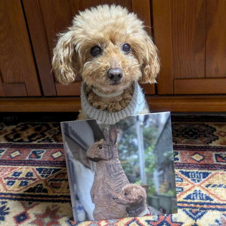 C54461a3 990a 49c5 89d2 36aff7cfb00e 1765969898840