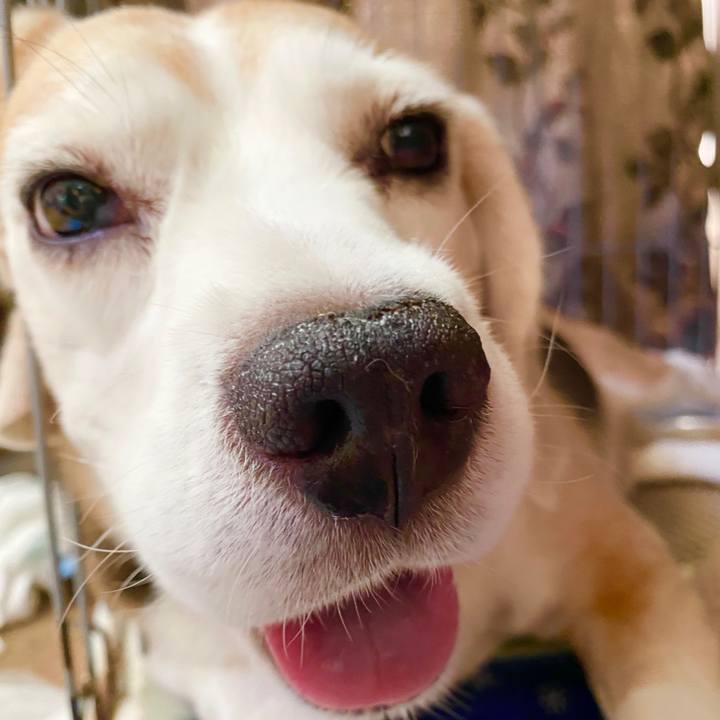 C5448854 df07 4965 a82f 606aab43363c 1599189907407