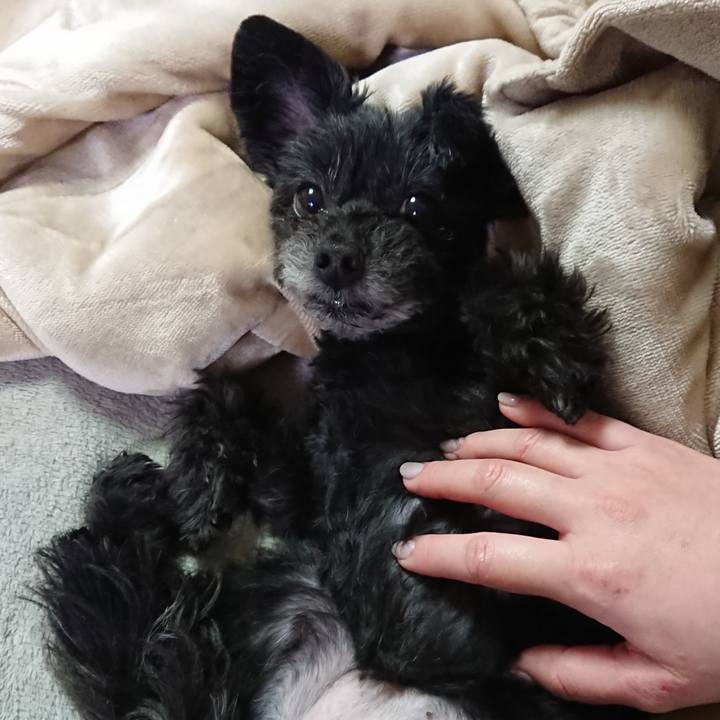 C5448fe2 f10b 42fd bcae 78aff48000ca 1585069514423