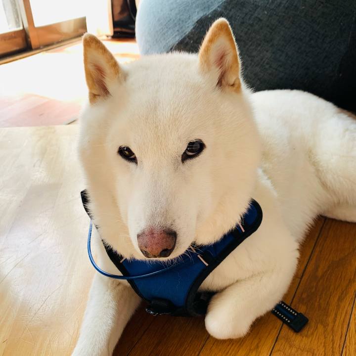 C544dcc9 319d 49f1 86e1 b8e95b7f7658 1648291704307