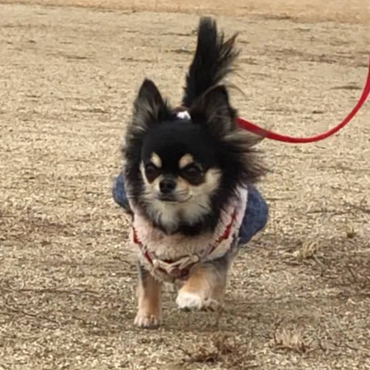 C5450f51 50a4 407c 96f4 e554eee594a0 1579420295034