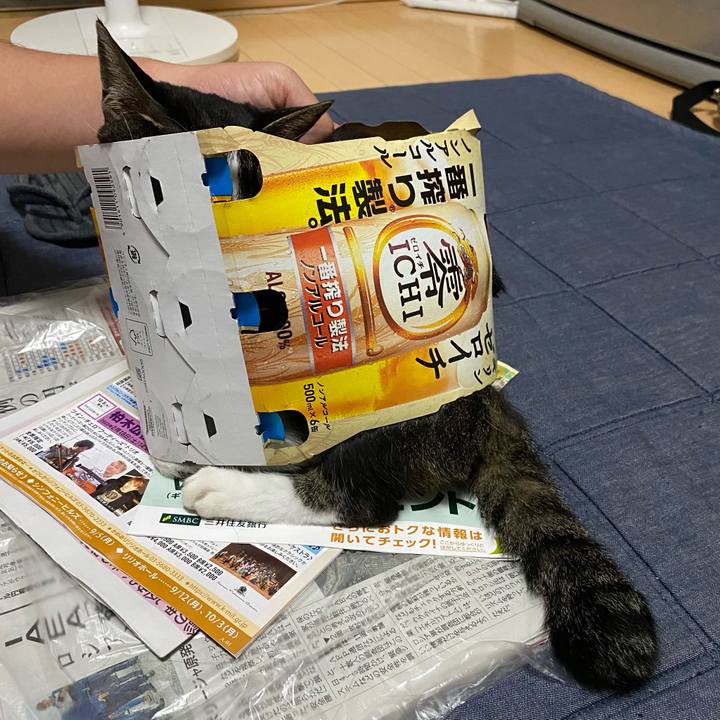 C5454072 e71e 4208 8601 abd7c661ffa0 1662479742564