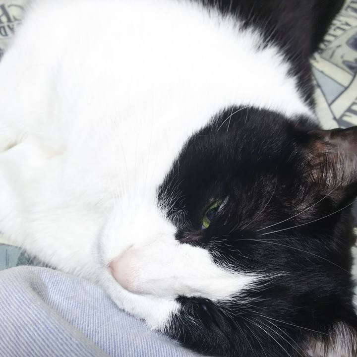 C5454455 9a98 4901 b00b e428bff304a1 1591530100172