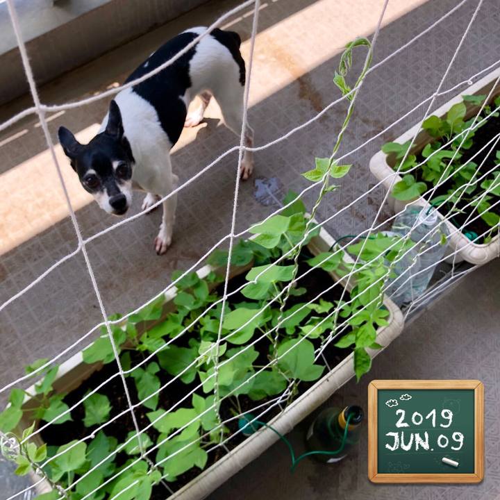 C545d9d8 3c2b 454b 93d1 a3f9590f92c8 1560049583273