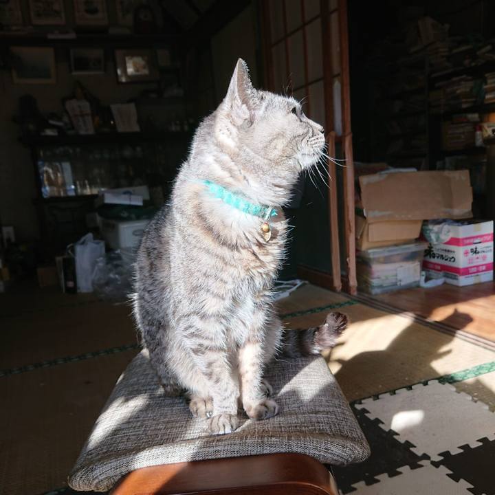 C545fd91 25f3 4ea0 a4e0 b1451edbc4f0 1605007135168