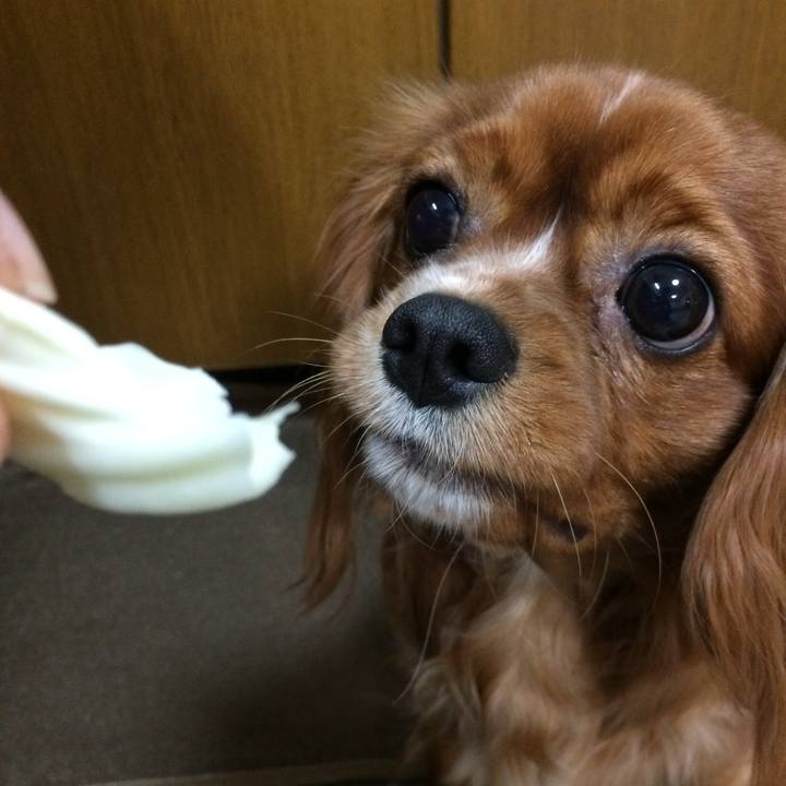 C546170f f799 419f ba27 164068323b90 1517782036755