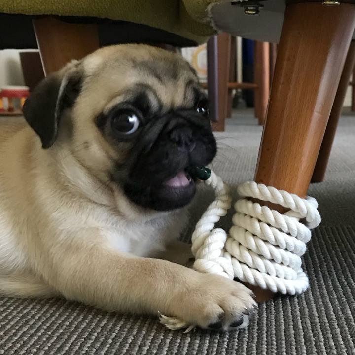 C5461985 98b3 4e14 a4d2 16dd5a99fef5 1534640171651