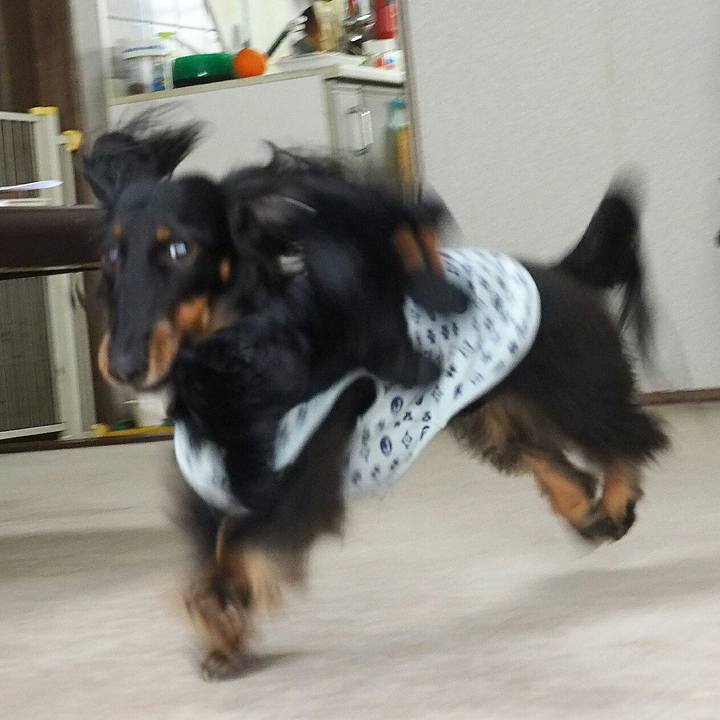 C5463b25 d1e9 4f86 8494 d35e7f54e915 1524011310328