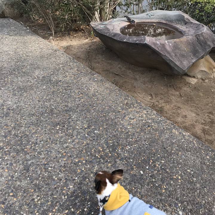 C54654f6 7621 4597 b52f 12431f4b7cba 1548817019316