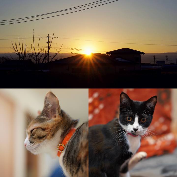 C54665e3 3af2 4a6b aaa6 f66f7824a353 1578014809366