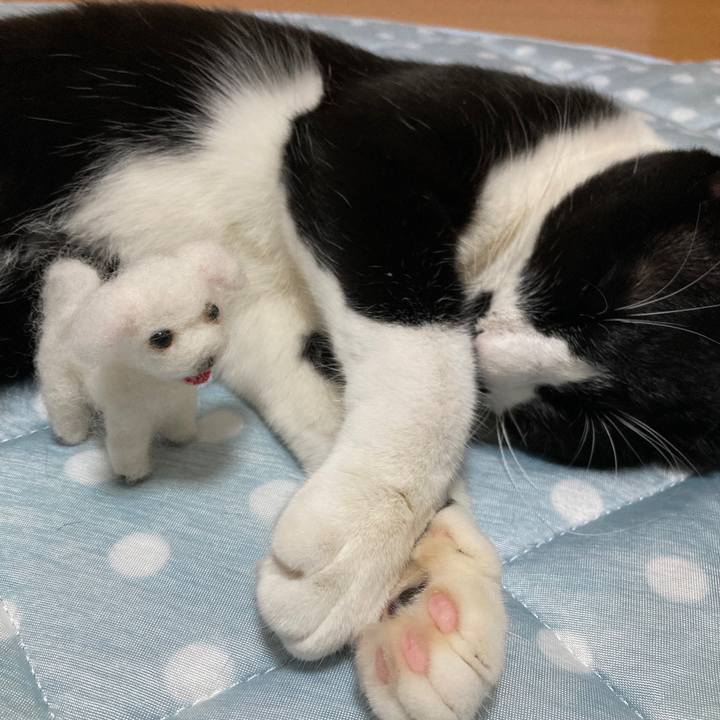 C546910a 0566 468d a7f8 021a01375bdf 1691071472381