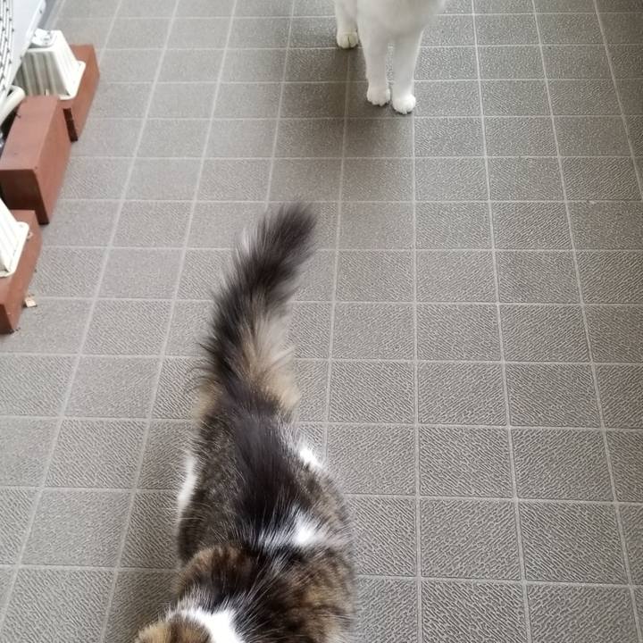 C5469e5b 9468 4fea 9994 7157dfe9d5b5 1538705946812