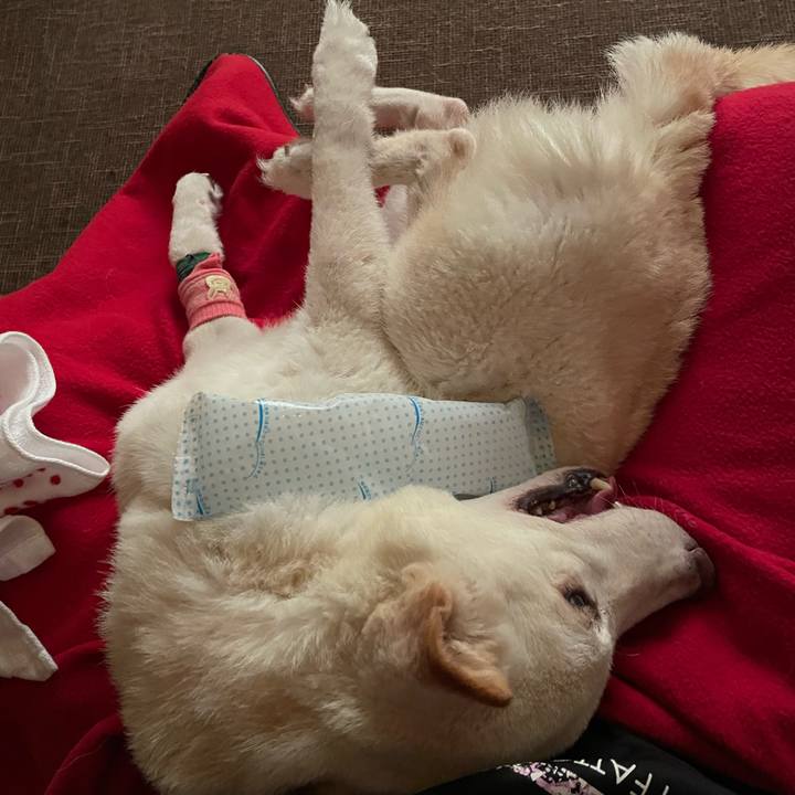 C546b029 a8bc 41fc b2da 22be25c75f58 1664834995700