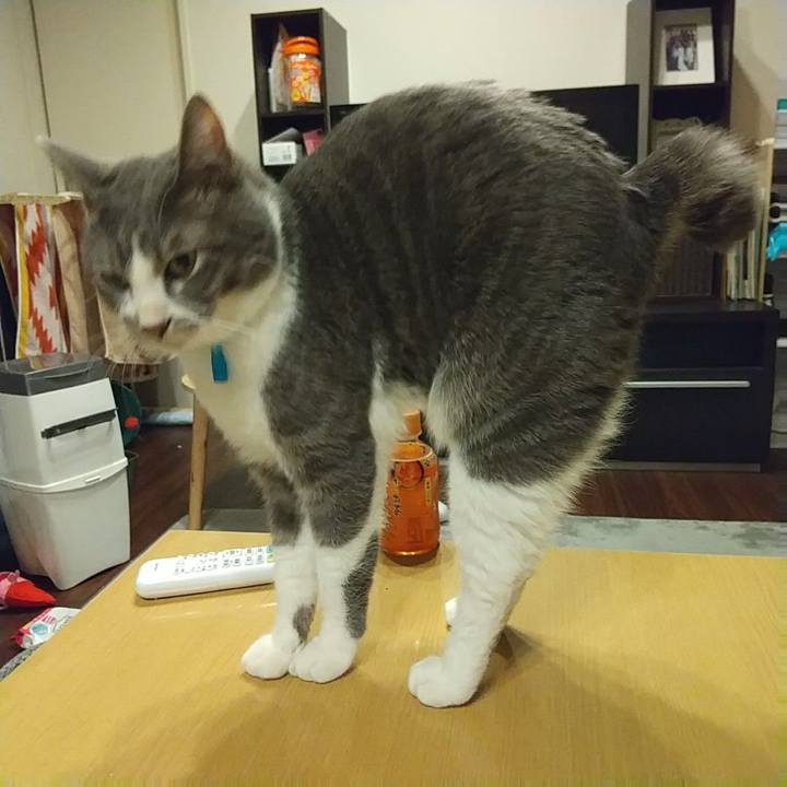 C546bbfb 45cf 4222 9971 ae9640a17c2f 1611738236075