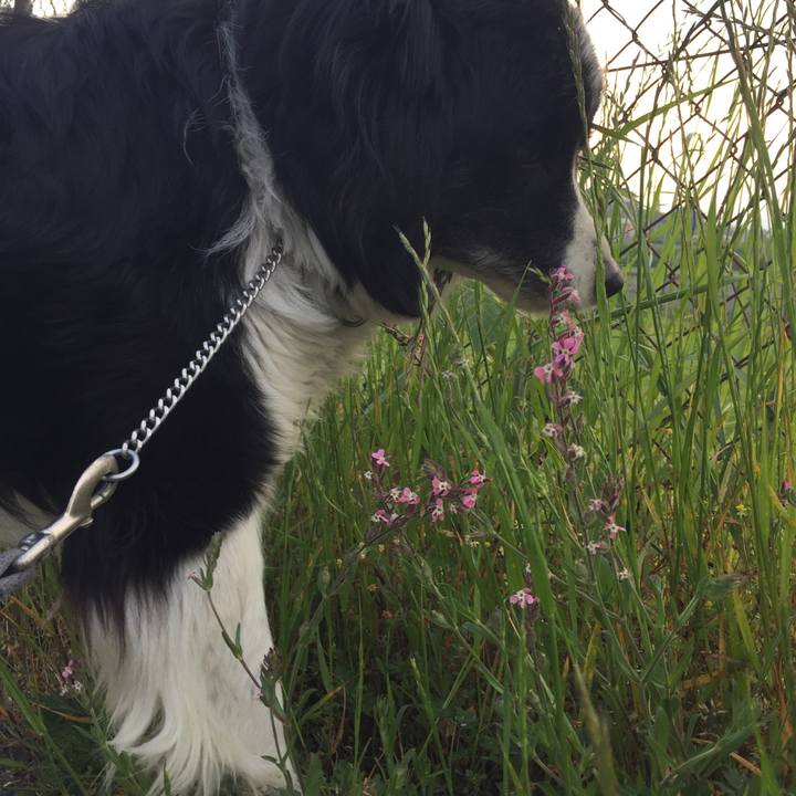 C546cdfe 44f7 4ea0 9cbb b14a79c7b2e1 1557621924460