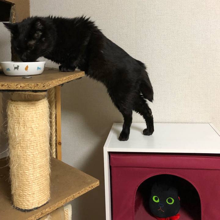 C54703af 9e7b 45b0 8a6f 761b3326a3e5 1593350365089