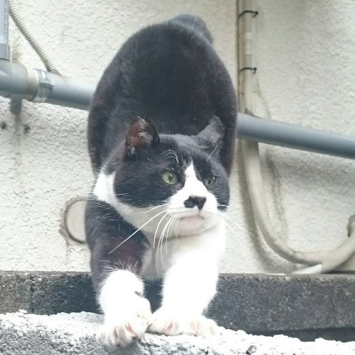 C5470e2a 02b0 43dc ad5e 78bcb717e614 1520207124809