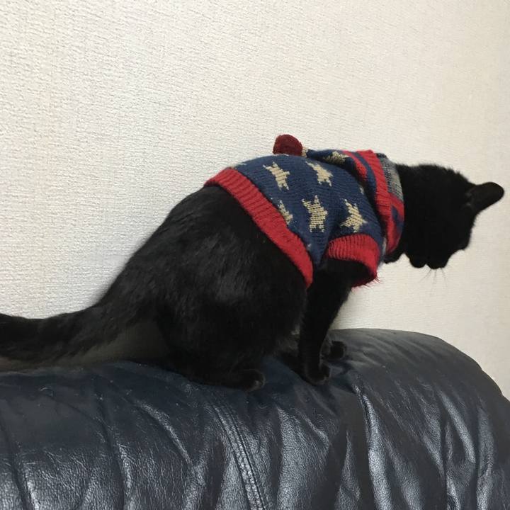 C5472192 aab3 43ea 9532 8ea12f093bd9 1541498817013