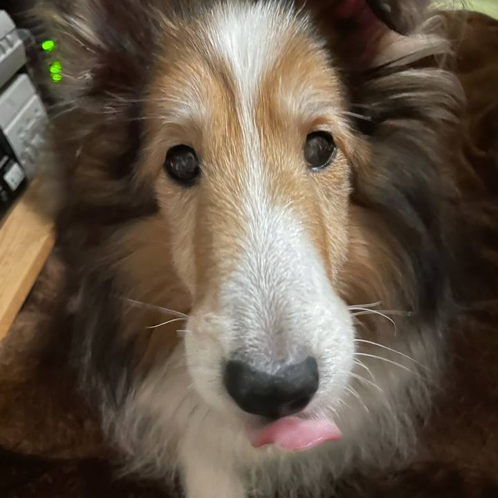 C5472f1b 4454 4886 9bcf f485528f5adc 1610871844867