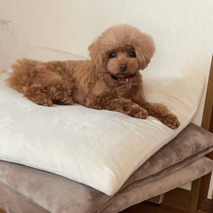 C54738f4 c87b 407e 88e9 2ddb3fd9062c 1622090194380