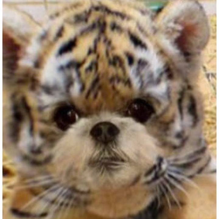 C5473ef8 f6a1 4480 949a cdd780b3011f 1642061643168