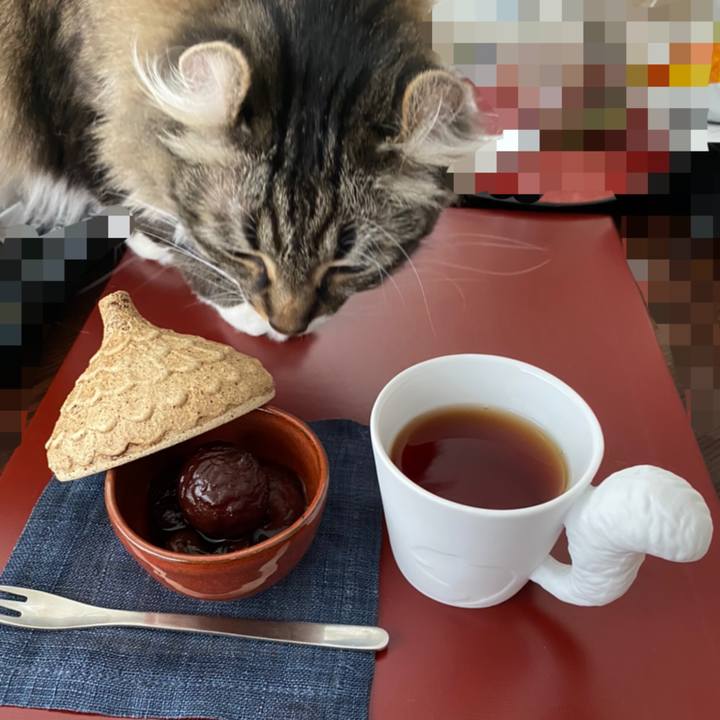 C547badc e43f 4218 af0f a39e69be4e07 1587968085731