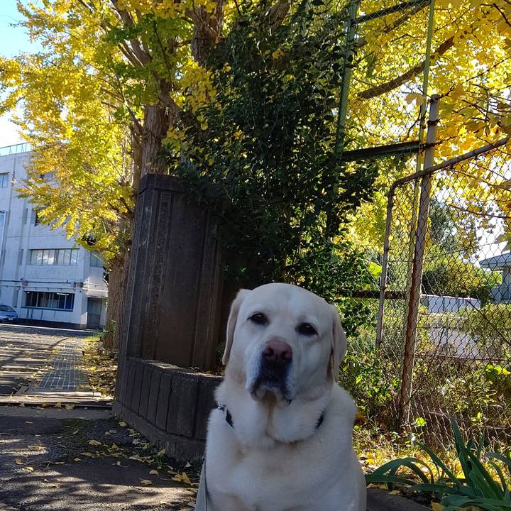 C547e154 5a18 475f b862 81bb9db0098d 1636766954260