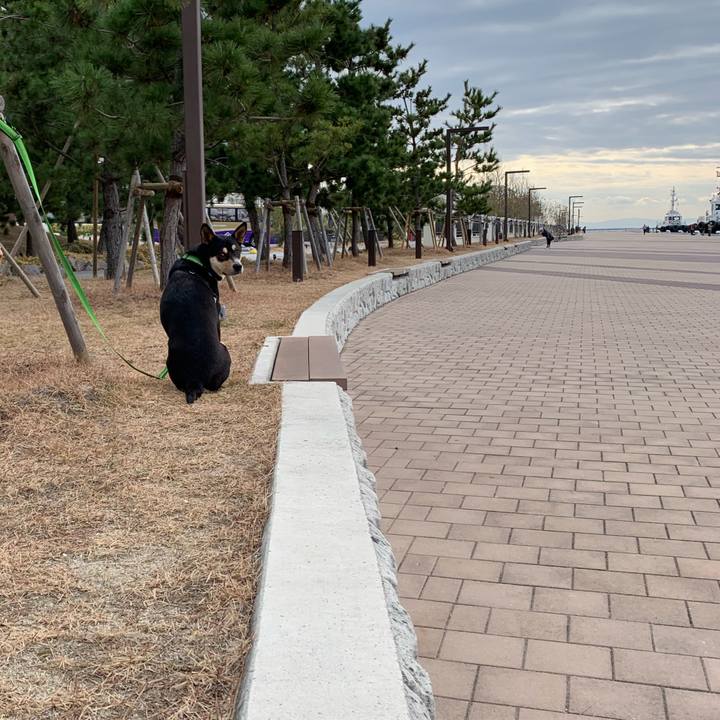 C548193a e2f4 42b9 961c f605afa001da 1546787711597