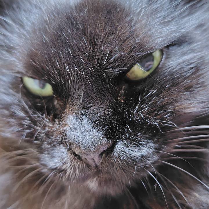 C54828c0 73f9 46d7 a87f b12bb6a1eb16 1752321663338