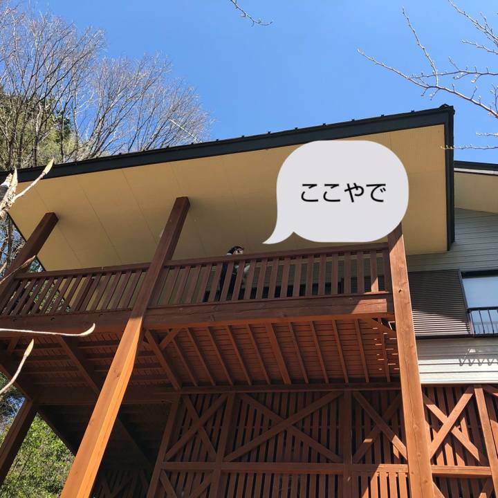 C5488944 697e 4ea6 95da cff3f0b9909d 1618623965474