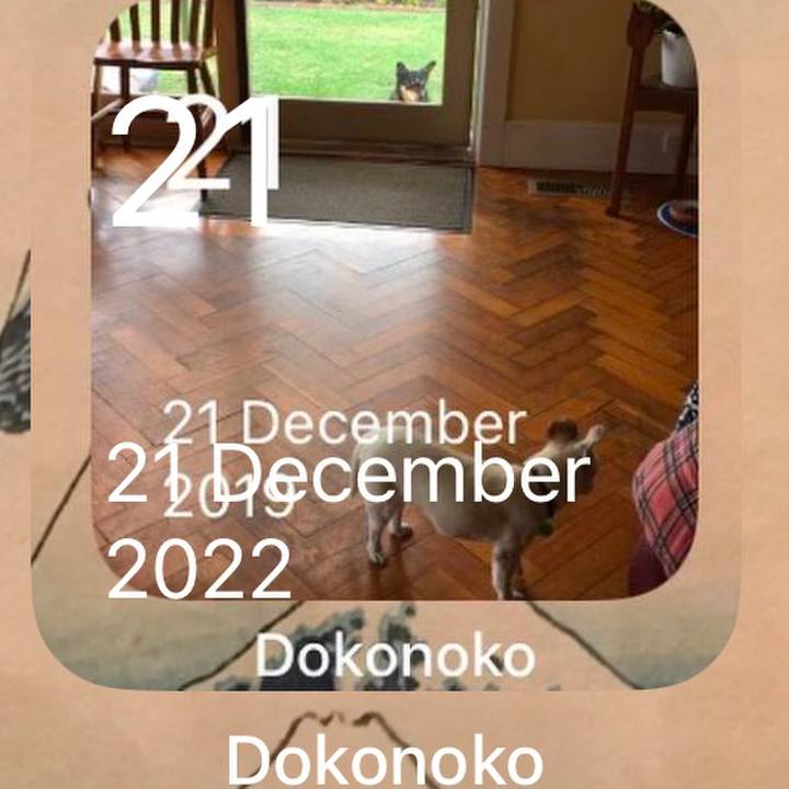 C548bcc3 03ce 4b2f 94ed 3ffc6aeb639f 1766264289147