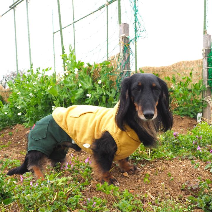 C548df31 a1a8 4096 80b5 7fe944a28a51 1648614139277