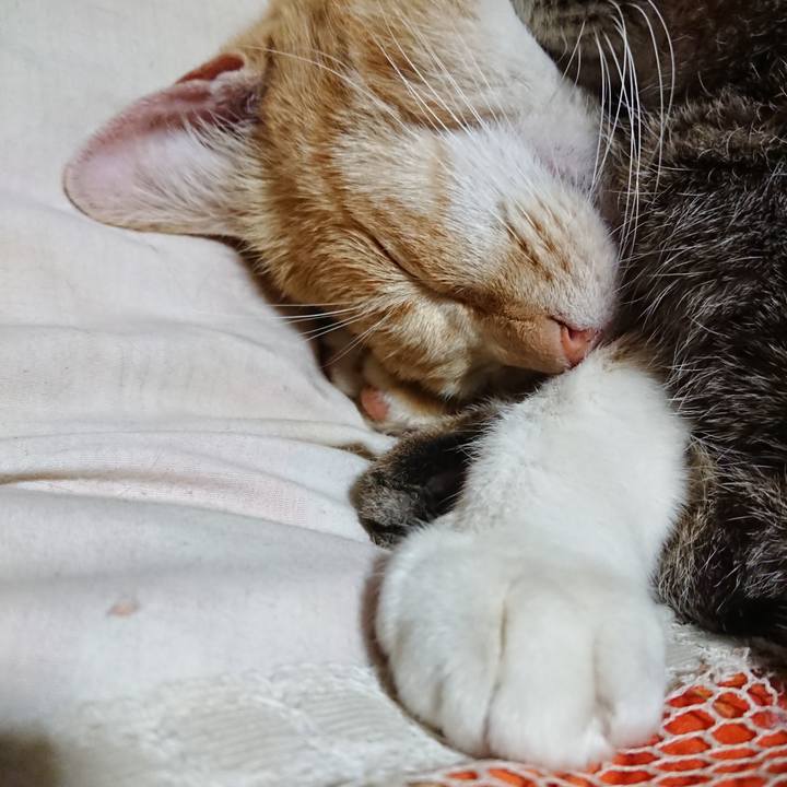 C548e7cf 6dcf 478c b6fd 12c258217626 1587559354056