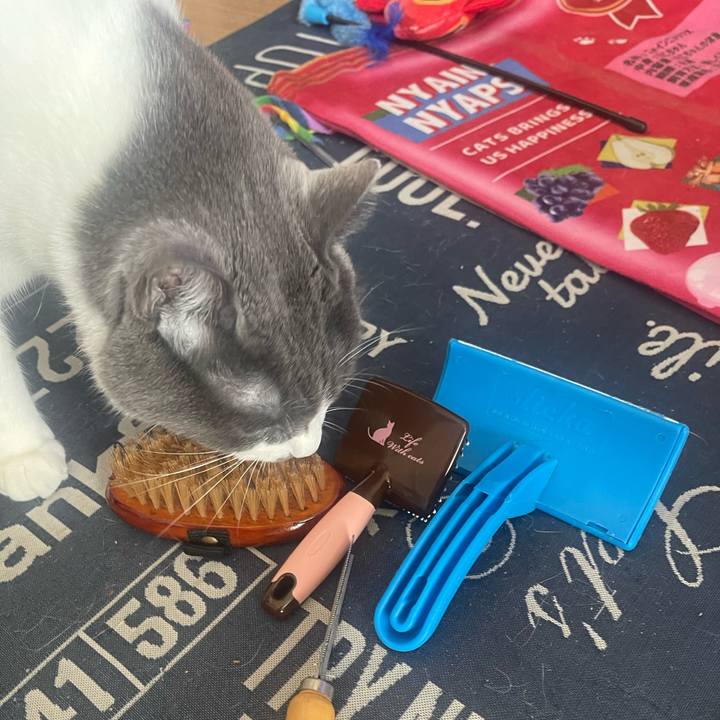 C548fdcc 6237 499f 8847 725a1c62194e 1725153277554