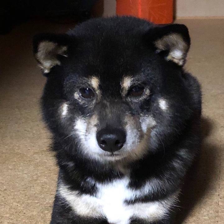 C5492348 0aff 4f7e 95be af9cf1339e57 1546420474192