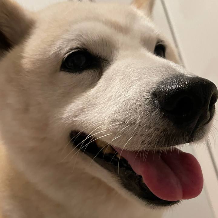 C5494994 748c 4e68 86b6 36eec487e767 1653439164154