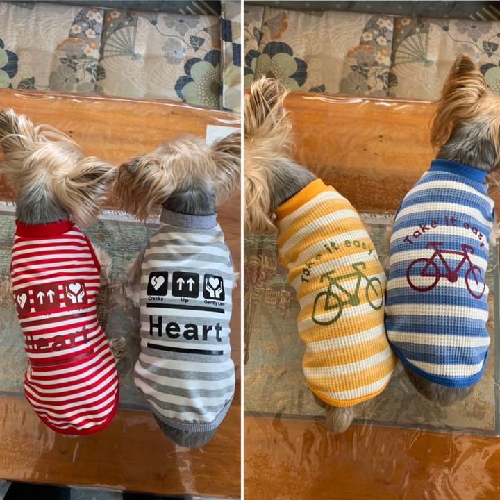 C5494af5 ff0e 4033 84ed 3bc32274567c 1617441829664