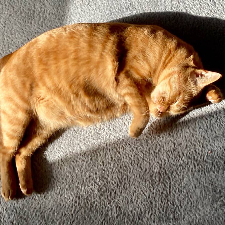 C5494c95 3b85 409d 928e fa81652982e5 1613642746576