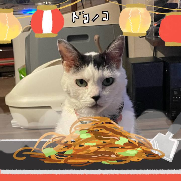 C5499841 ae81 4233 bbed 99965e2b93c8 1755250946632