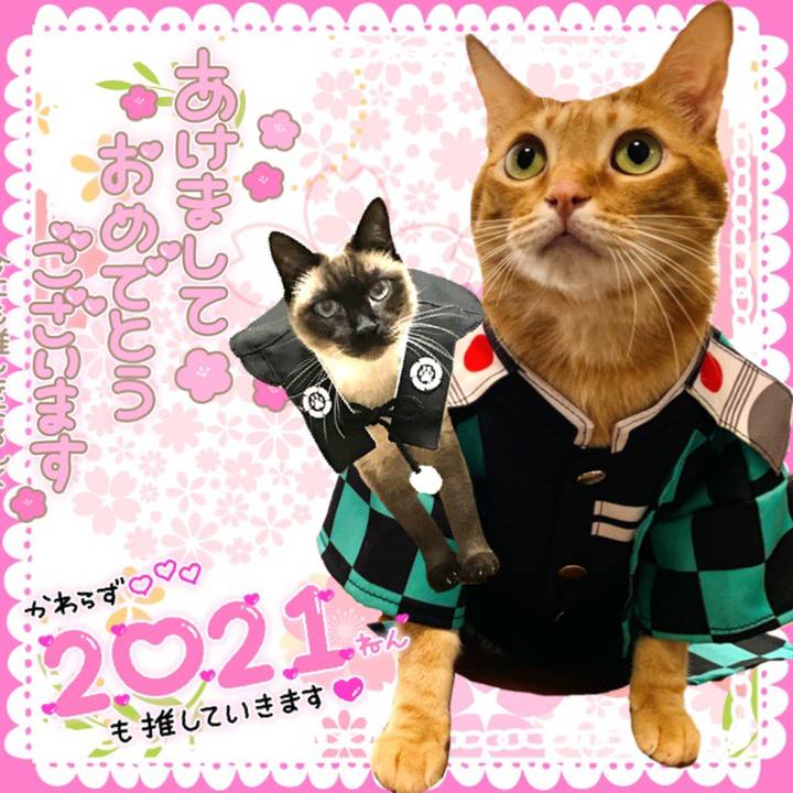 C549f0cd c338 4b13 a444 d3e6ec8be48e 1609457045035