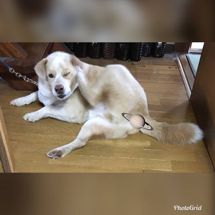 C54a0fa3 4d07 470b a908 075f2fc455e8 1528342412021